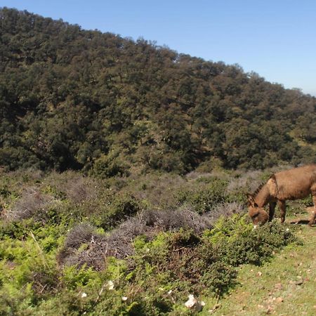 دار الضيافة تازكة Maison D'Hotes Tazekka Taza Εξωτερικό φωτογραφία