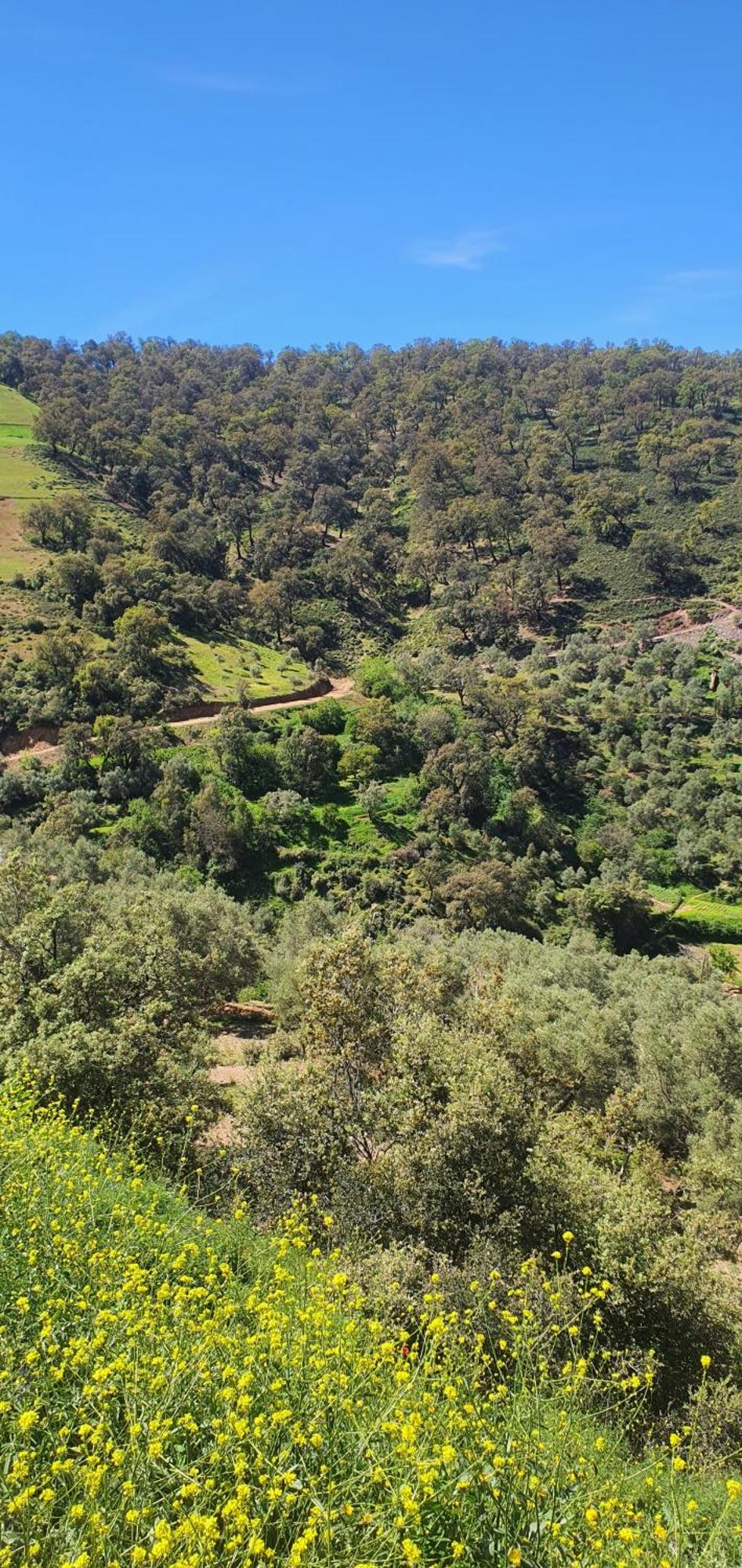 دار الضيافة تازكة Maison D'Hotes Tazekka Taza Εξωτερικό φωτογραφία